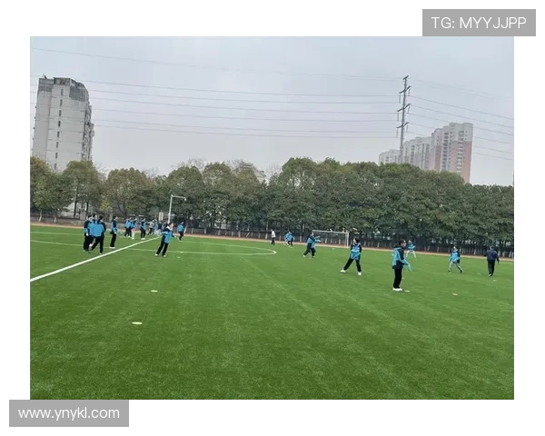 南京飞盘队实力对比深度解析及未来发展趋势探讨